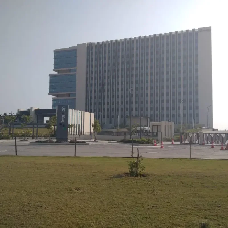 Tata-intellion